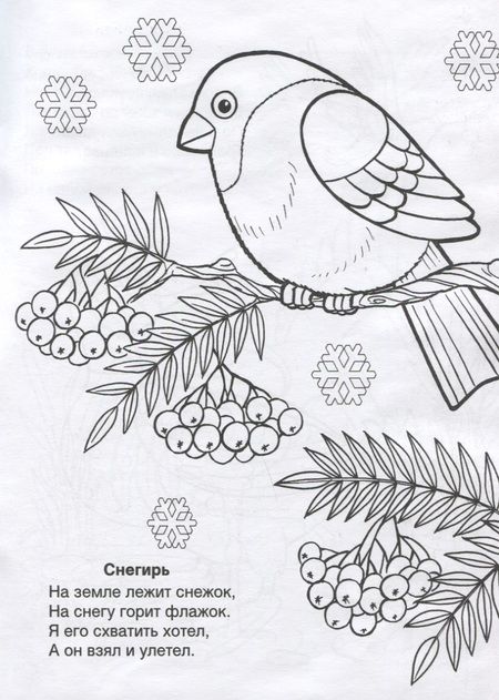 Фотография книги "Коваль: Кто летает в небе"