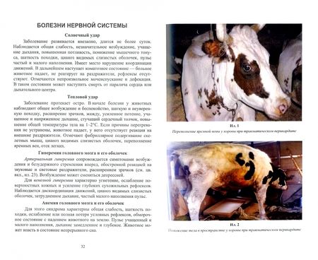 Фотография книги "Ковалев, Яшин, Киселенко: Основные симптомы внутренних болезней животных. Учебное пособие для СПО"