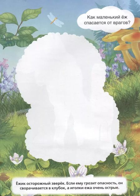 Фотография книги "Козырь, Козырь: Лесные животные (Потри монеткой А4)"