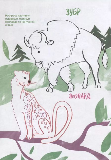 Фотография книги "Креативная раскраска с наклейками Животные (А4)"