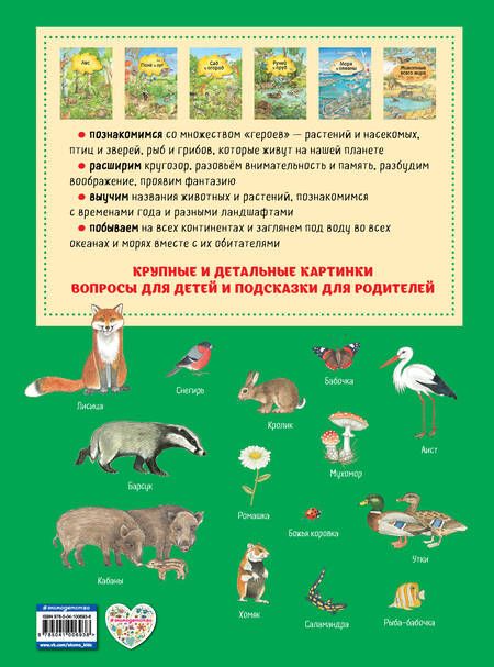 Фотография книги "Кристина Хенкель: Большая книга о природе (ил. К. Хенкель)"