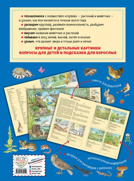 Фотография книги "Кристина Хенкель: Большая книга времен года. Виммельбух"