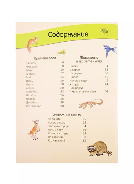Фотография книги "Кристина Хенкель: Большая книга времен года. Виммельбух"