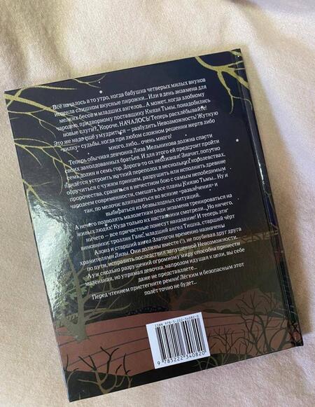 Фотография книги "Крыж: Лиза на пути невозможности: с проклятьями не шутят"