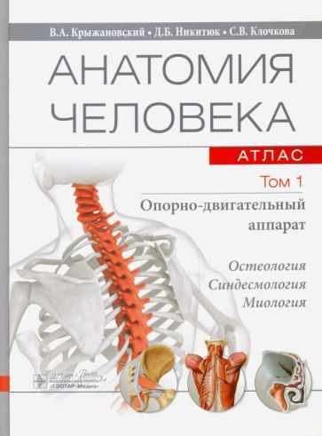 Обложка книги "Крыжановский, Никитюк, Клочкова: Анатомия человека. Атлас. В 3-х томах. Том 1. Опорно-двигательный аппарат"