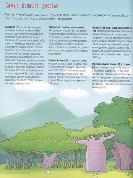 Фотография книги "Кто самый"