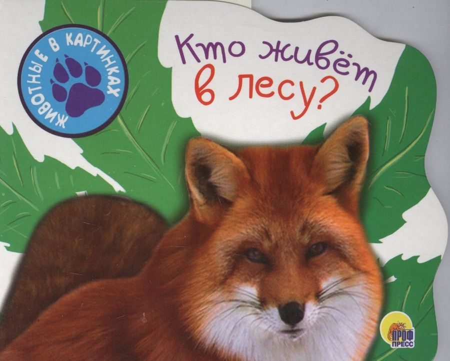 Обложка книги "Кто живет в лесу"