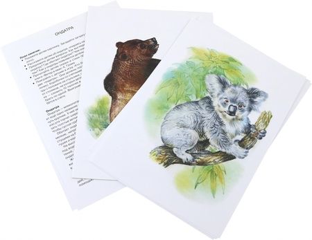 Фотография книги "Куликовская: Наглядно-дидактический материал. Животные Америки и Австралии. ФГОС"