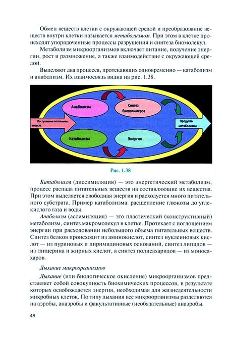 Фотография книги "Кунилова: Микробиология, физиология питания, санитария и гигиена в общественном питании. Учебник"