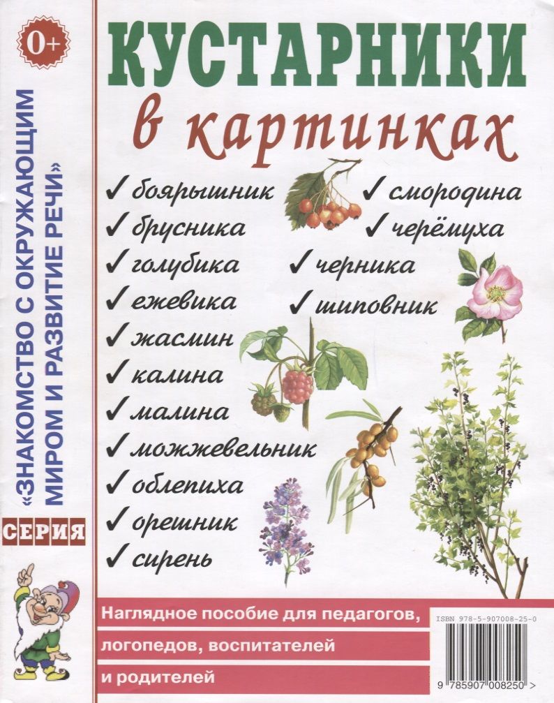 Обложка книги "Кустарники в картинках. Наглядное пособие для педагогов, логопедов, воспитателей и родителей"