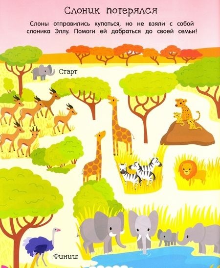 Фотография книги "Лабиринты. Догони черепаху!"