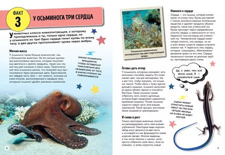 Фотография книги "Лайза Риган: Всё об окружающем мире с научной точки зрения"