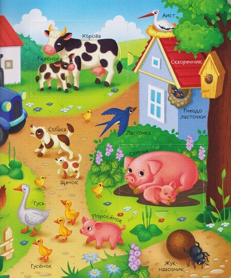 Фотография книги "Лариса Владимировна: Кто где живет. Книга с окошками"