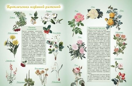 Фотография книги "Лаврова: Откуда берутся слова, или Занимательная этимология"