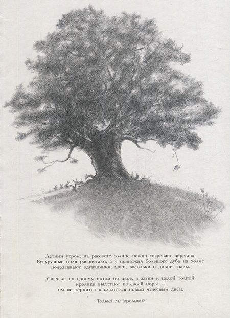 Фотография книги "Ле: Заяц и кролики"