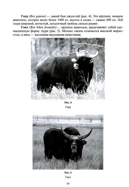 Фотография книги "Лебедько, Танана, Климов: Разведение и селекция сельскохозяйственных животных. Учебник"