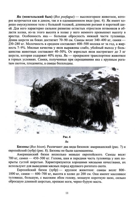 Фотография книги "Лебедько, Танана, Климов: Разведение и селекция сельскохозяйственных животных. Учебник"