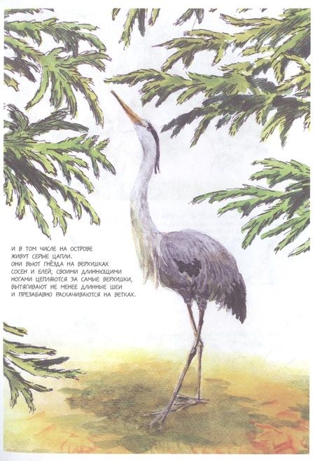 Фотография книги "Леднёва, Леднев: Талабские острова. Дневник путешествий по России"