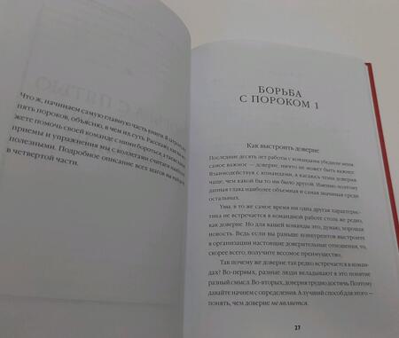 Фотография книги "Ленсиони: Пять пороков команды: практика преодоления. Программа для лидеров, менеджеров и модераторов"