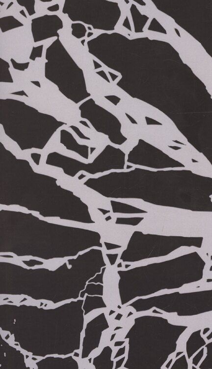 Фотография книги "Лидия Гулина: Убить Саламандру"