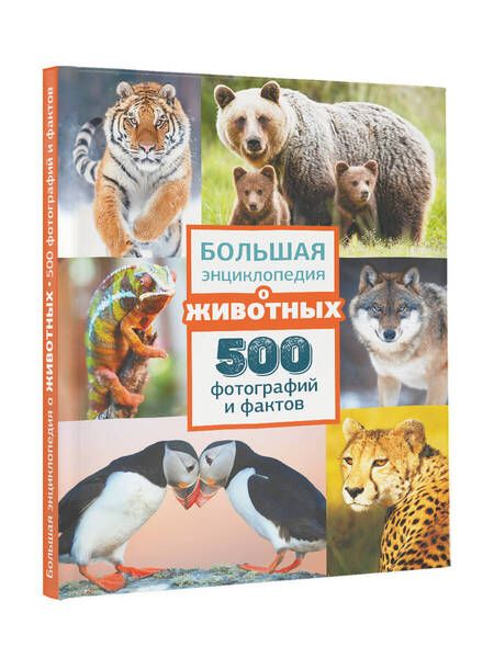 Фотография книги "Ликсо, Карнилович, Вайткене: Большая энциклопедия о животных. 500 фотографий и фактов"
