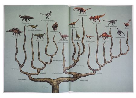 Фотография книги "Лили Маррей: Динозавриум"