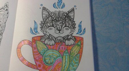 Фотография книги "Линда Тейлор: Cats. Творческая раскраска замурчательных котиков"
