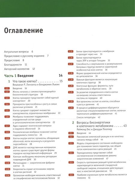 Фотография книги "Линн Кассимерис: Клетки по Льюину"