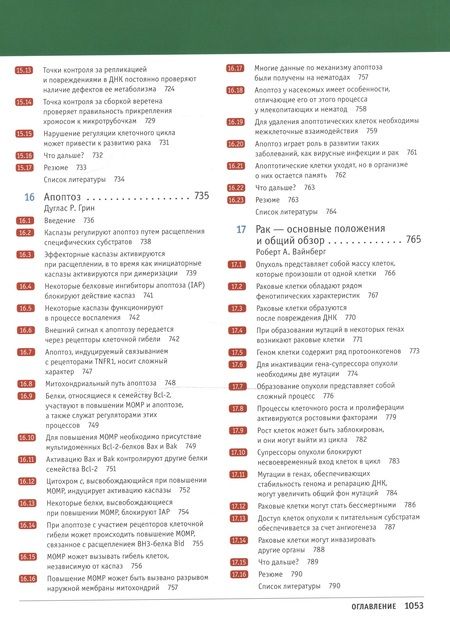 Фотография книги "Линн Кассимерис: Клетки по Льюину"
