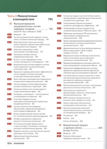Фотография книги "Линн Кассимерис: Клетки по Льюину"