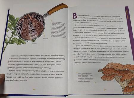 Фотография книги "Ллойд: Большая детская энциклопедия абсолютно обо всём. История динозавров, Земли, цивилизаций, роботов..."