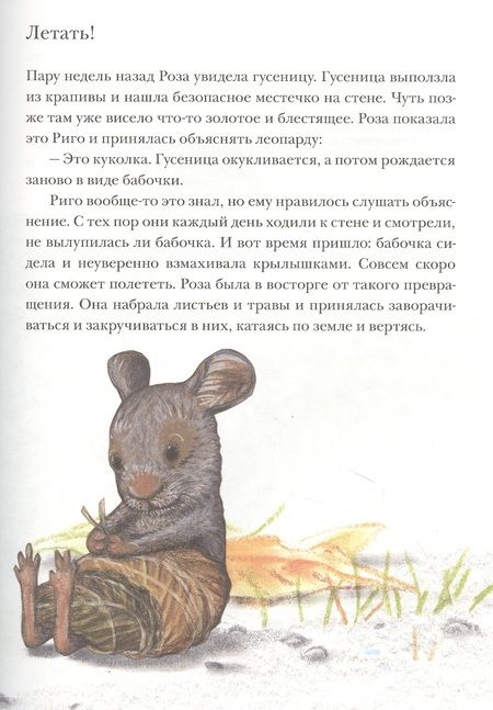 Фотография книги "Лоренц Паули: Риго и Роза. 31 история о чудных мелочах"