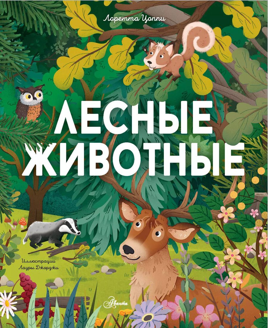 Обложка книги "Лоретта Цоппи: Лесные животные"