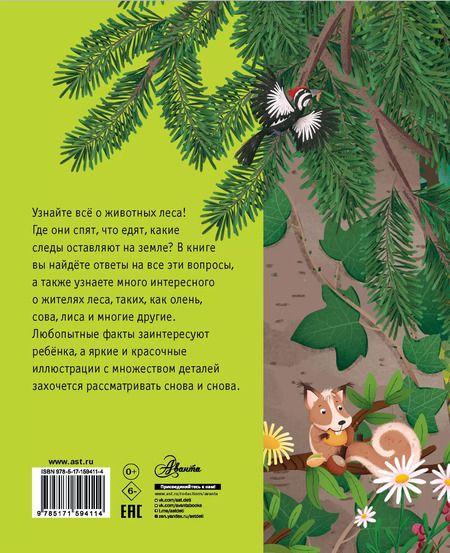 Фотография книги "Лоретта Цоппи: Лесные животные"
