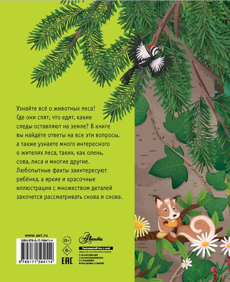 Фотография книги "Лоретта Цоппи: Лесные животные"