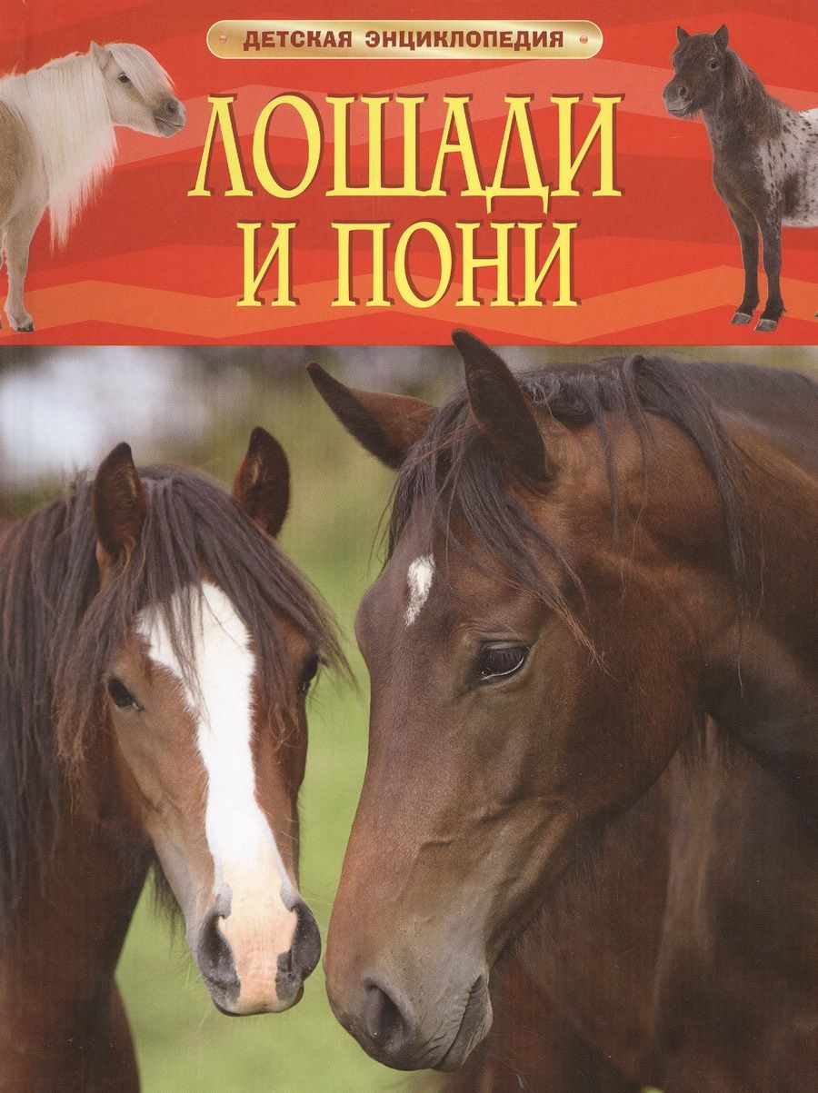 Обложка книги "Лошади и пони"