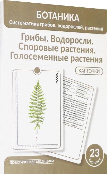 Фотография книги "Луферов, Анцышкина, Простодушева: Ботаника. Систематика грибов, водорослей, растений. Грибы. Водоросли. Споровые растения. 23 карточки"