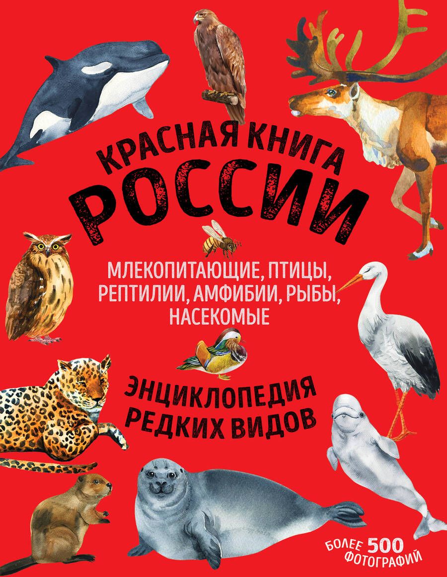 Обложка книги "Лукашанец, Лукашанец: Красная книга России: животные, растения, птицы, насекомые. Энциклопедия редких видов"