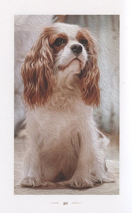 Фотография книги "Любовь в форме сердца"