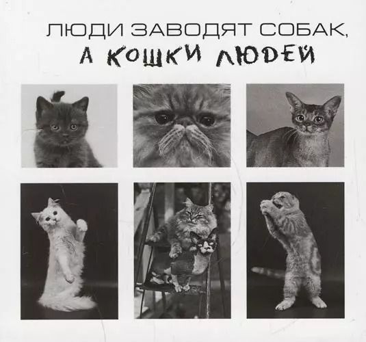 Обложка книги "Люди заводят собак,а кошки людей"
