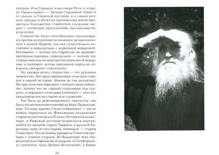 Фотография книги "Людмила Ильюнина: Старец протоиерей Николай Гурьянов. Жизнеописание. Воспоминания. Письма"