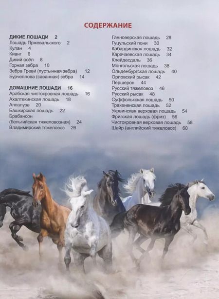 Фотография книги "Людмила Соколова: Лошади"
