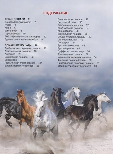 Фотография книги "Людмила Соколова: Лошади"