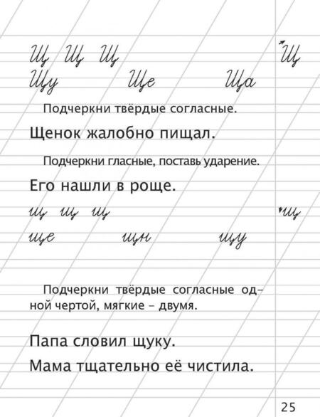 Фотография книги "М. Варовская: Русский язык. 1 класс. Тренажёр для закрепления материала"