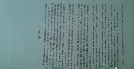 Фотография книги "Майн: Всадник без головы"