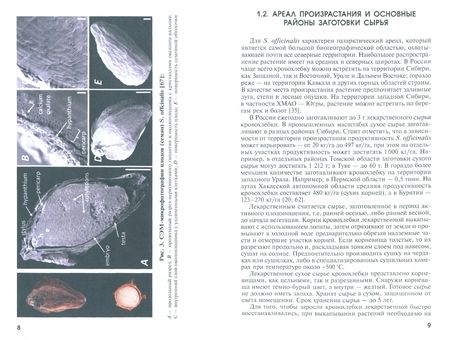 Фотография книги "Макаров, Макарова, Бердышева: Способы получения растительного сырья кровохлебки лекарственной. Монография"