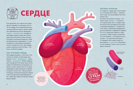 Фотография книги "Максим Калтыгин: Твое тело. Как оно работает и меняется"