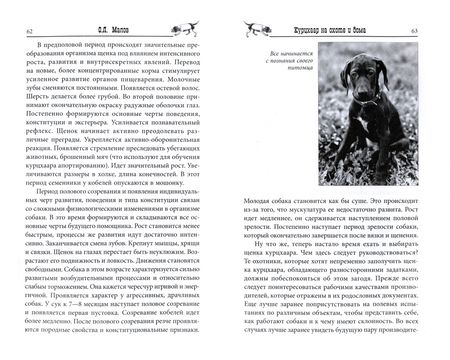 Фотография книги "Малов: Курцхаар на охоте и дома"