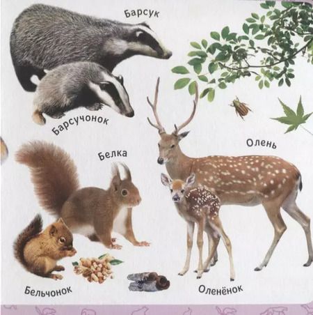 Фотография книги "Мамы и детки"