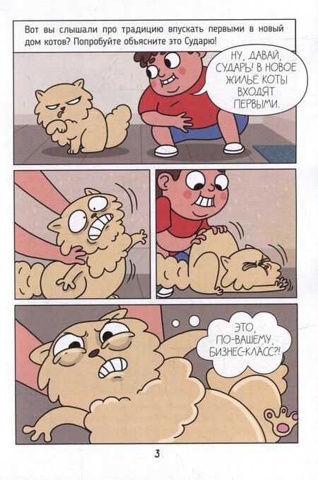 Фотография книги "Маргарита Голенко: Книжка-комикс. Гроза новостроек ниндзя Илюша. Том 1. Пробуждение силы"